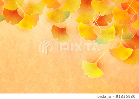 紅葉 イチョウ 秋 背景 紅葉 イチョウ 秋 背景 91325930