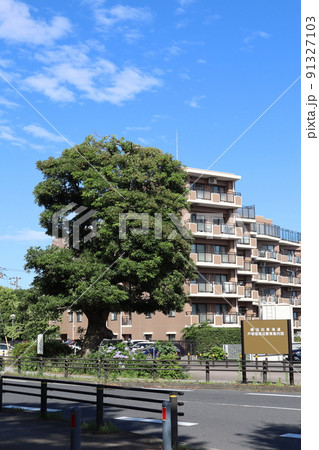 境木立場跡 91327103