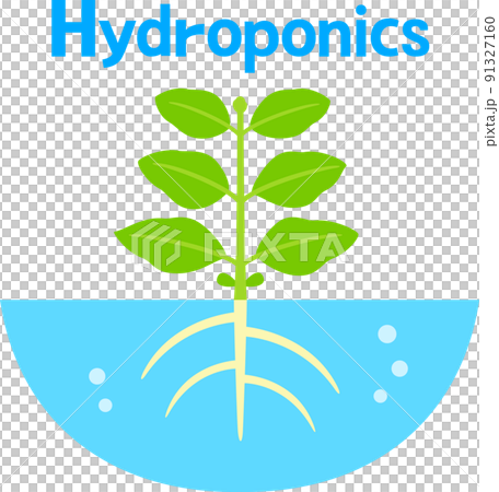Image of hydroponics 91327160