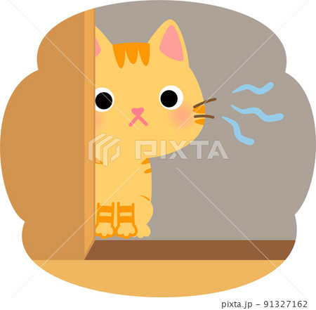 物陰から様子を窺うトラ猫 物陰から様子を窺うトラ猫 91327162