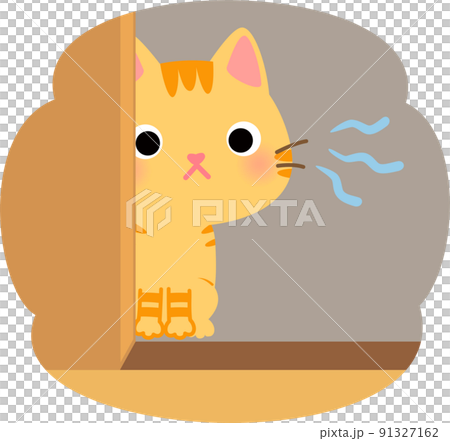 物陰から様子を窺うトラ猫 物陰から様子を窺うトラ猫 91327162