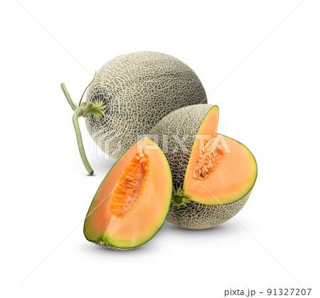 Cantaloupe melon isolated on white background Cantaloupe melon isolated on white background 91327207