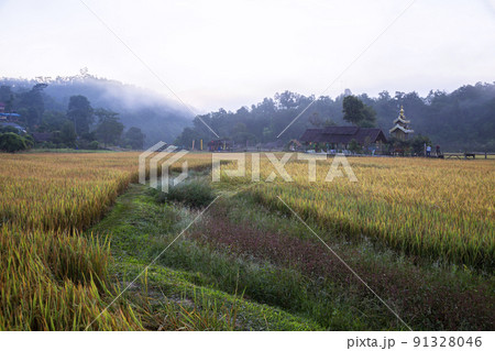 Beautiful morning light, Boon Kho Ku So Bridge is located in Pam Bok Village. Beautiful morning light, Boon Kho Ku So Bridge is located in Pam Bok Village. 91328046