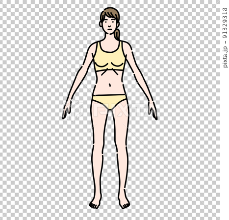 Skinny young woman in underwear - Stock Illustration [91329318