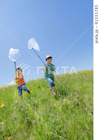 野花の咲く丘で虫とりをする兄弟 野花の咲く丘で虫とりをする兄弟 91331785