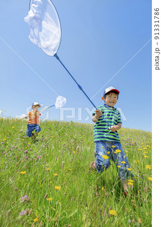 野花の咲く丘で虫とりをする兄弟 91331786