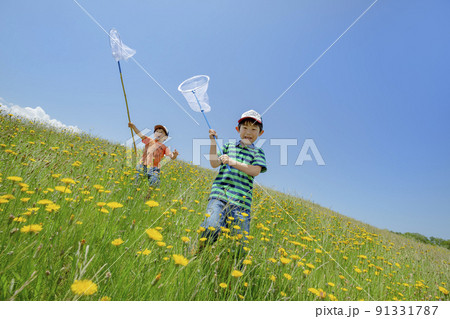 野花の咲く丘で虫とりをする兄弟 91331787