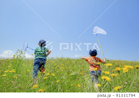 野花の咲く丘で虫とりをする兄弟の後ろ姿 91331794