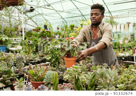 Worker selling houseplants in flower shop Worker selling houseplants in flower shop 91332674