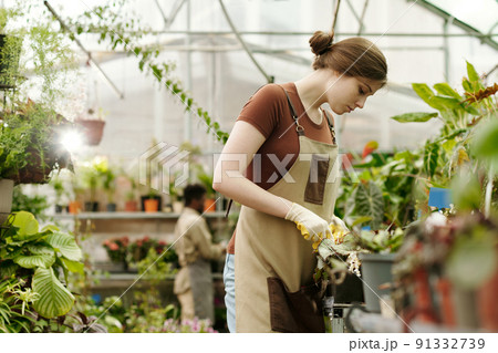 Gardener caring about plants in greenhouse Gardener caring about plants in greenhouse 91332739