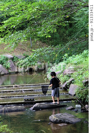 埼玉県鳩山町の農村公園遊歩道沿いを流れる草木の緑が美しい清流で網を使って楽しそうに魚取りをする男の子 91333411
