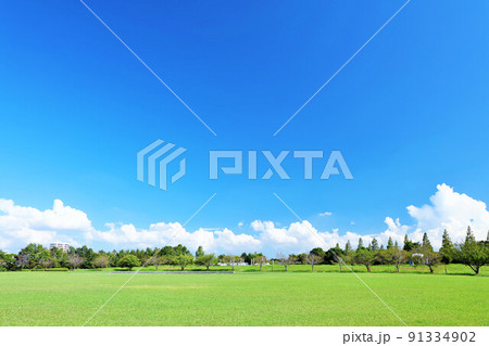 綺麗な夏の青空と新緑の公園風景 91334902