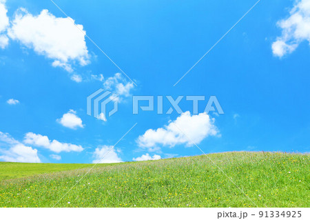 綺麗な夏の青空と新緑の高原風景 91334925