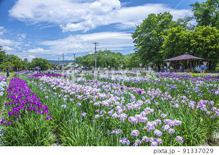 あやめ公園 あやめ公園 91337029