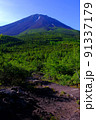 20220627奥庭自然公園から初夏の富士山 20220627奥庭自然公園から初夏の富士山 91337179