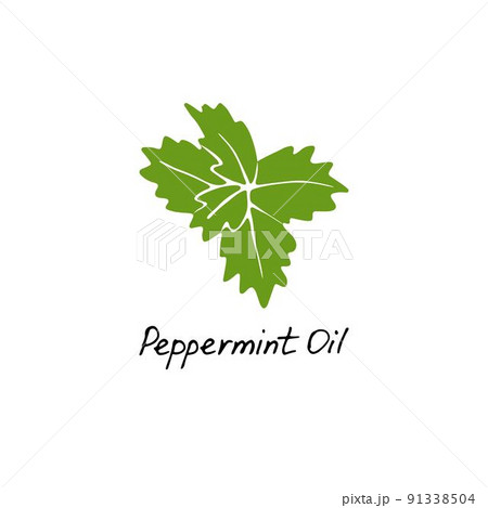 Mint green vector illustration. Hand drawn peppermint logo. Peppermint oil for cosmetic design Mint green vector illustration. Hand drawn peppermint logo. Peppermint oil for cosmetic design 91338504