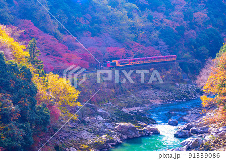 保津峡の紅葉とトロッコ列車 保津峡の紅葉とトロッコ列車 91339086