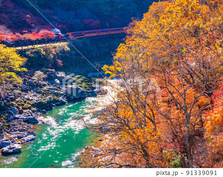 保津峡の紅葉とトロッコ列車 91339091
