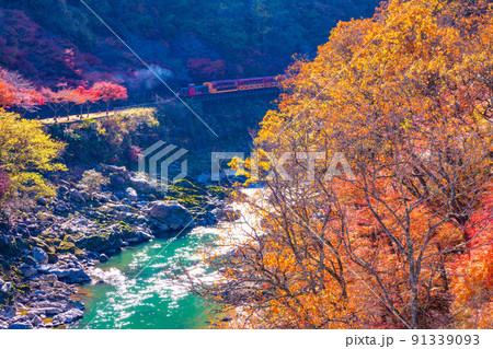 保津峡の紅葉とトロッコ列車 91339093