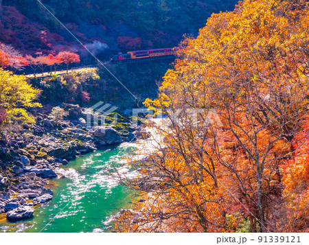 保津峡の紅葉とトロッコ列車 91339121