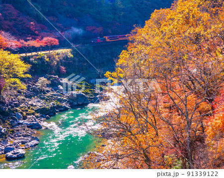 保津峡の紅葉とトロッコ列車 保津峡の紅葉とトロッコ列車 91339122
