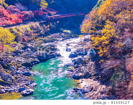保津峡の紅葉とトロッコ列車 91339127