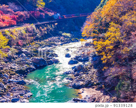 保津峡の紅葉とトロッコ列車 保津峡の紅葉とトロッコ列車 91339128