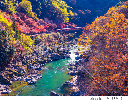 保津峡の紅葉とトロッコ列車 91339144