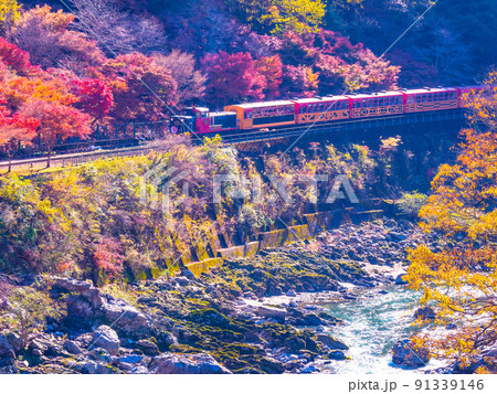 保津峡の紅葉とトロッコ列車 91339146