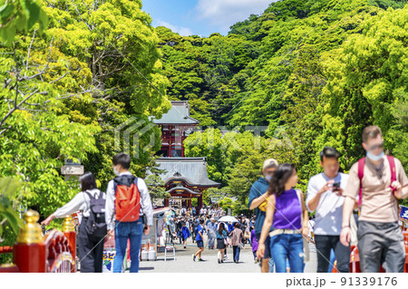 【神奈川県】新緑が綺麗な鎌倉の鶴岡八幡宮 【神奈川県】新緑が綺麗な鎌倉の鶴岡八幡宮 91339176