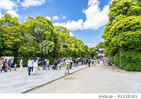 【神奈川県】青空と新緑が綺麗な鎌倉の鶴岡八幡宮 91339181