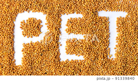 Pet food for birds, whole dried millet background 91339840