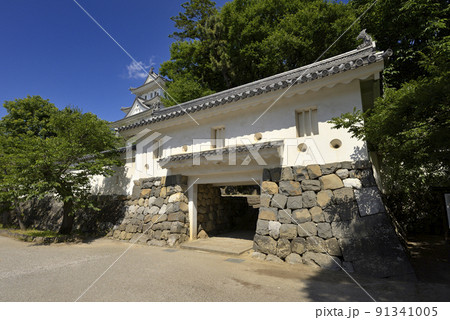 大垣城　城西広場側の景色（岐阜県大垣市） 91341005