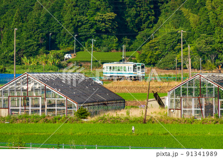 静岡県袋井市川会　天竜浜名湖鉄道と沿線の風景 91341989