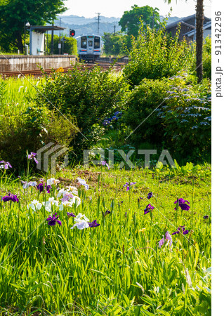 静岡県周智郡森町一宮 天竜浜名湖鉄道と沿線の風景 静岡県周智郡森町一宮 天竜浜名湖鉄道と沿線の風景 91342296
