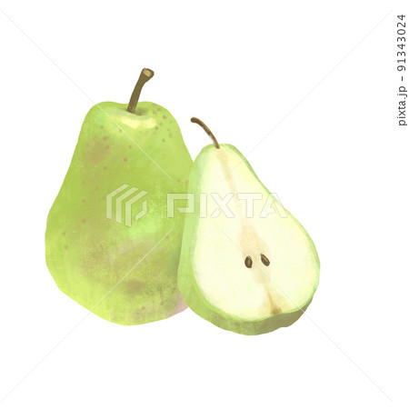 秋の味覚　果物　洋梨のイラスト 91343024