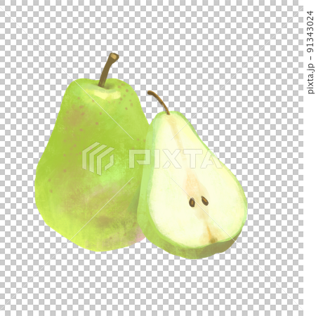 秋の味覚　果物　洋梨のイラスト 91343024