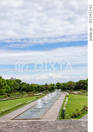 神戸・須磨離宮公園のバラ園と噴水広場 91343142