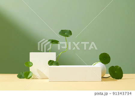 Abstract minimal scene with geometric forms. Cubes white podium in green background with Centella Asiatica (gotu kola).  91343734