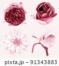Watercolor burgundy and blush flowers 91343883