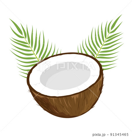 Coconut half on white bakground. Coconut icon. Vector illustration for design and print 91345465