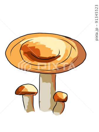 Drawn colored mushrooms of different types on a white background 91345523