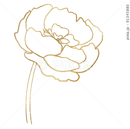 Watercolor golden outline peony flower illustration element Watercolor golden outline peony flower illustration element 91345880