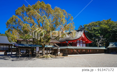 宗像大社辺津宮（福岡県宗像市） 91347172