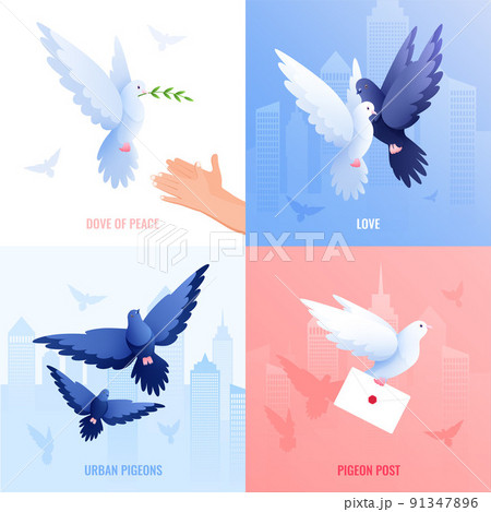 Pigeons Flat Design Concept Pigeons Flat Design Concept 91347896