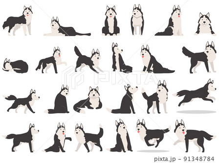 Husky icons set cartoon vector. Dog ears. Alaskan animal 91348784