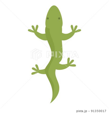 Argentina salamander icon cartoon vector. America travel. Argentinian latin Argentina salamander icon cartoon vector. America travel. Argentinian latin 91350017