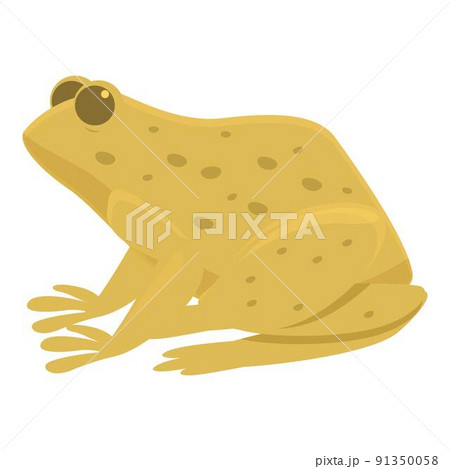Aquatic froggy icon cartoon vector. Frog water. Animal life 91350058