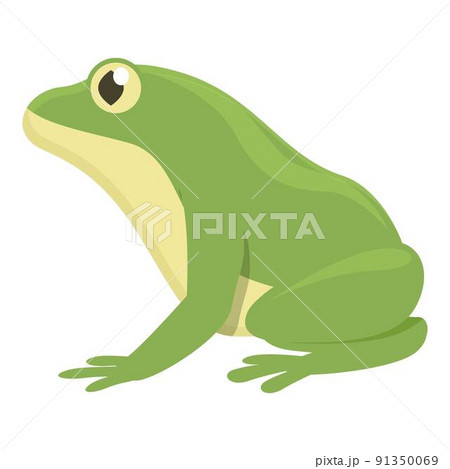 Aquatic frog icon cartoon vector. Animal jump. Green character 91350069