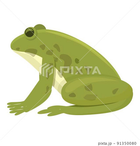Water frog icon cartoon vector. Cute character. Baby frog 91350080
